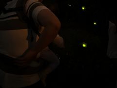 -西涌国际滨海旅游区