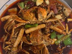 -杨氏青龙虾·羊蝎子(托乐嘉店)