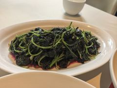 -芙蓉堂(武汉天地店)