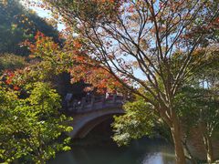 -田野绿世界