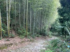 -仙霞关景区