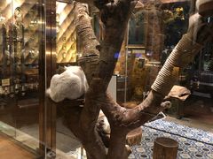 -more than meow吴止猫主题餐厅(承德 中船汇店)