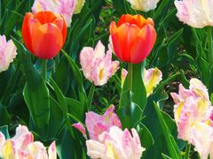 -北京植物园南门售票处