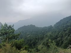 -雾与山茶(大禹城店)