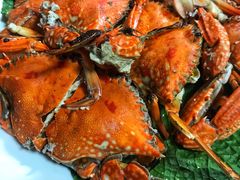 -客家盈食府(禹洲棕榈城店)