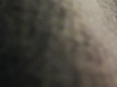 -千纸鹤嫩汁烤肉(西大直街店)