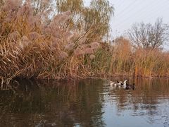 -永定河休闲森林公园