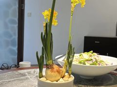 -山壹竹庭院餐厅
