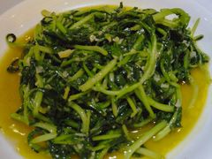 鸡毛菜-金春禧(世茂国际广场店)