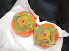 -喜茶(广州天汇igc店)