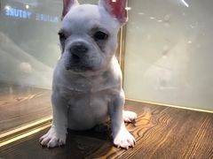 -乐宠宠物店(世纪金源店)