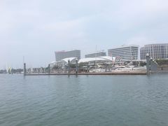-五缘湾游艇帆船俱乐部
