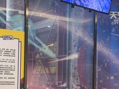 -天空之城蹦床攀岩运动馆·团建拓展·亲子游乐·生日派对(合肥店)