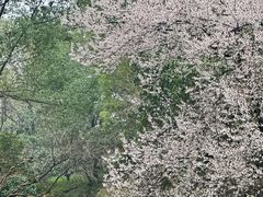 -上海闵行星河湾酒店