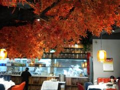 大堂-雲蜀龙阁·金牌水煮鱼(方庄店)