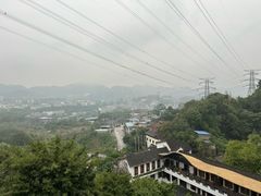 -巴倒烫陆派重庆火锅(南山店)