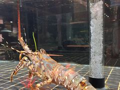 -璞御·海鲜·雪花牛肉局(宾水西道店)