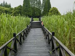 -沙家浜风景区
