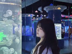-重庆欢乐海底世界