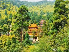 -天目山-昭明禅寺
