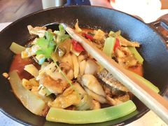 湘西霸王蛙-望湘园·湖南菜(宏伊店)
