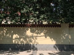 -Apollo·西班牙小酒馆(安福路店)