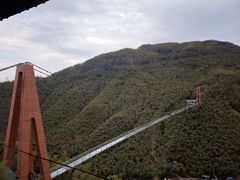 -中国大竹海景区