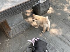 -途中饭店(开化店)