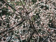 -荆川公园