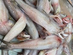 -滑记海鲜饭店·老字号(海鲜街店)