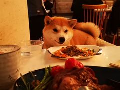 -the rug 飞毯 (朝阳公园店)