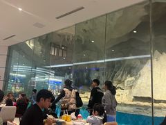 -帝企鹅自助餐厅•儿童岛•真企鹅(长隆企鹅酒店)