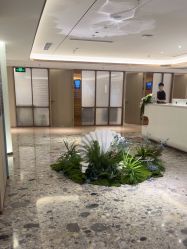 -北京漾格医疗美容医院