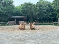 -竹泉村旅游度假区