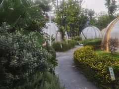 -悦见花开·花园里的火锅·露营·下午茶