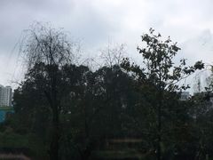 -成都市活水公园