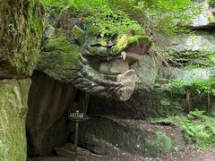 -汤旺河林海奇石景区