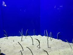 -上海海洋水族馆