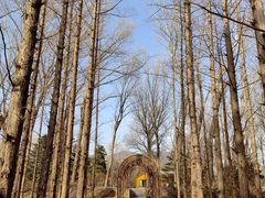 -国家植物园南园