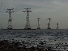 -宝安西湾红树林湿地公园