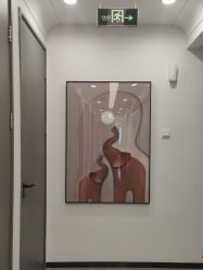 -联合丽格·张菡丽格医疗美容