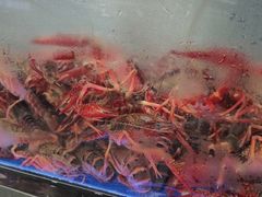 -京泰隆生鲜超市(林后店)