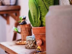 -ABCD咖啡屋(妇幼店)