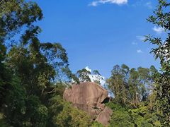 -火炉山森林公园