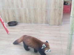 -无锡动物园·太湖欢乐园