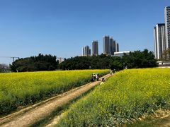 -光明小镇欢乐田园