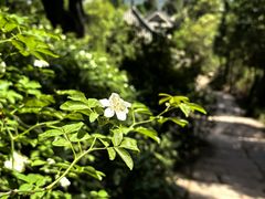 -金堂县云顶石城风景区