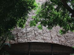 -越南民族学博物馆