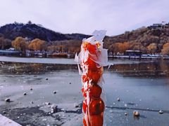 -北山公园