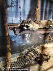 -酷嗒动物文化乐园(cutezoo西溪乐天城店)